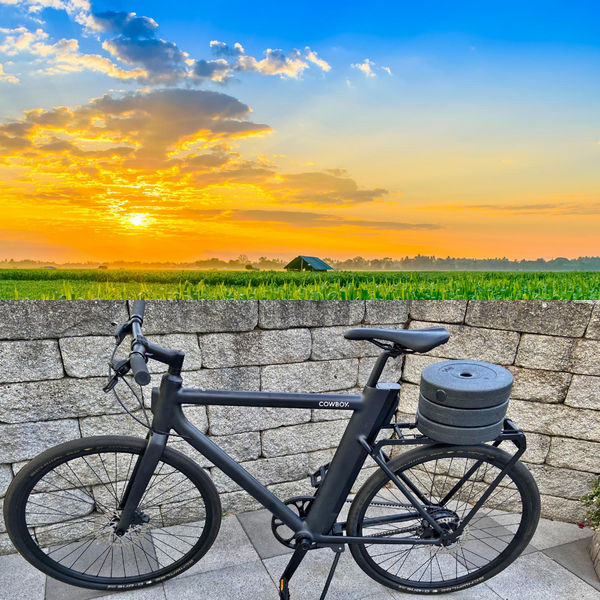 Luggage rack for Cowboy 2/3 Ebike - Kokox Design
